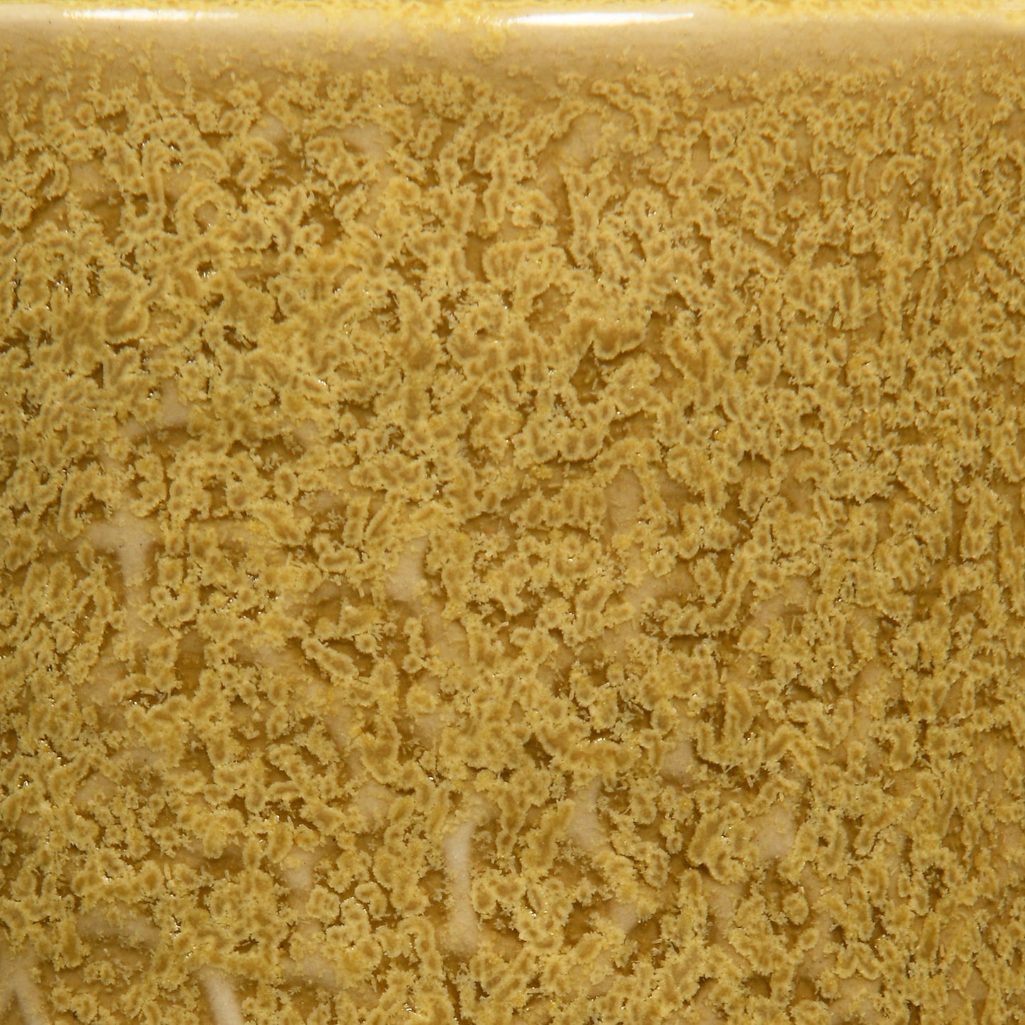 Speedball Coriander Mid-Fire Glaze - Pint (002120)