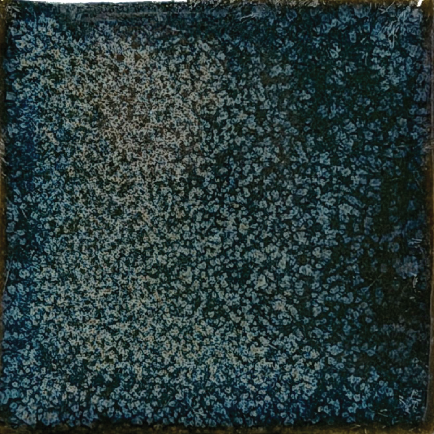 Coyote Smokey Pearl Glaze (MBG233)