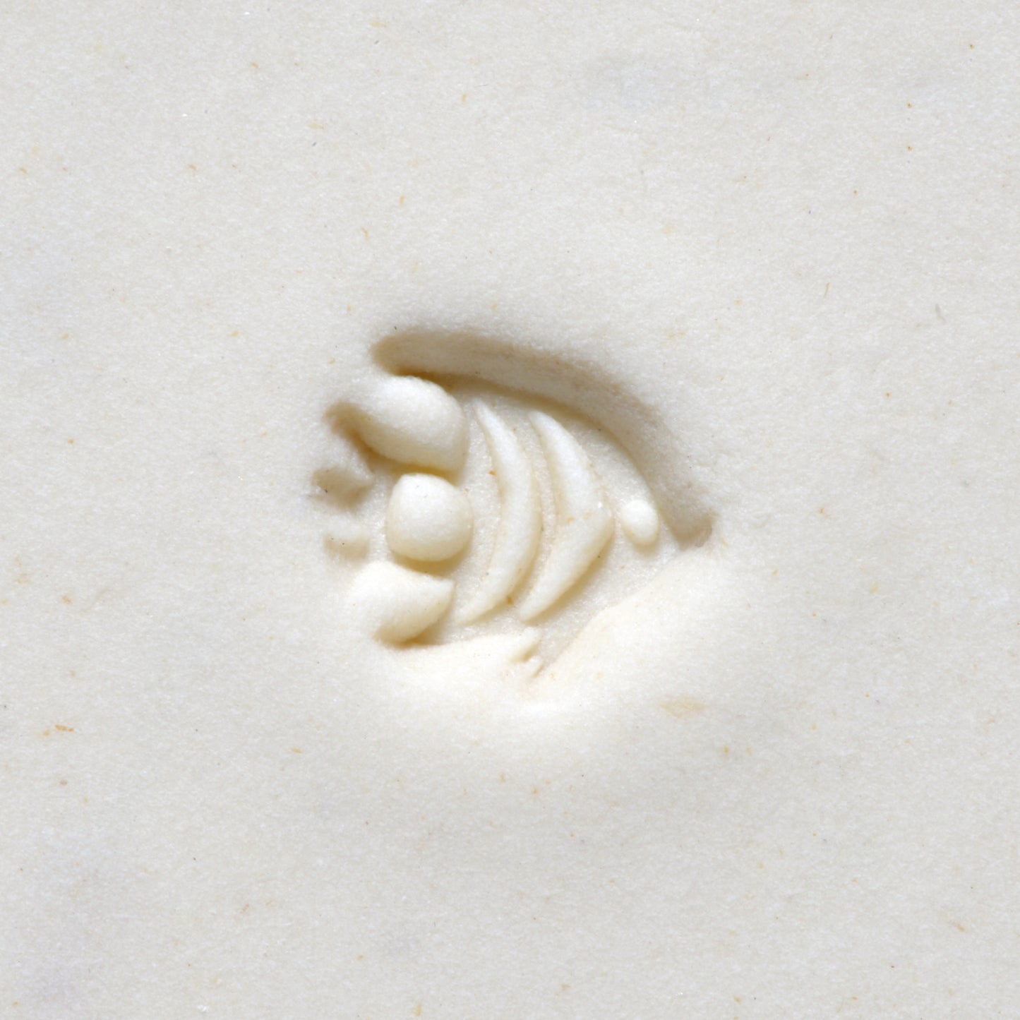 MKM Mini Round Stamp - Tropical Fish (SMR-040)