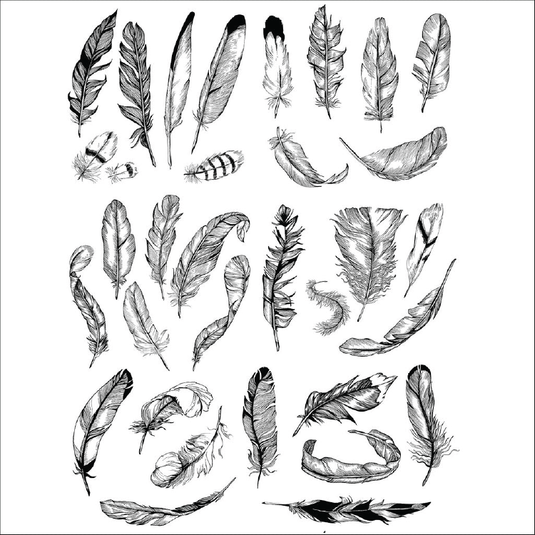 SanBao Underglaze Transfer - Feather (19" x 13")