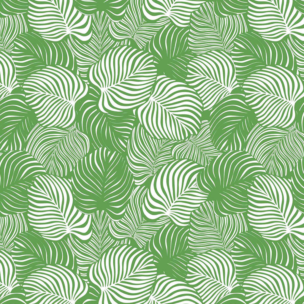 SanBao Underglaze Transfer - Monstera (19" x 13")
