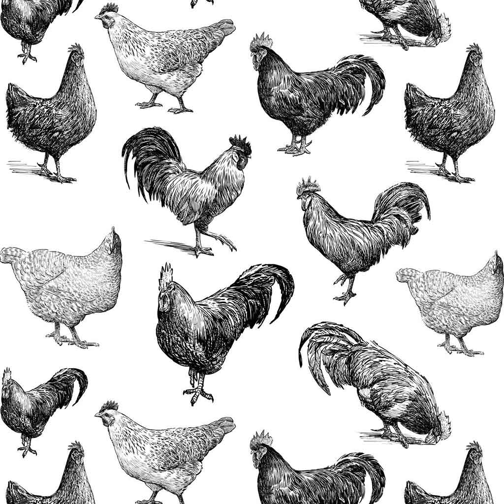 SanBao Underglaze Transfer - Chicken (19" x 13")