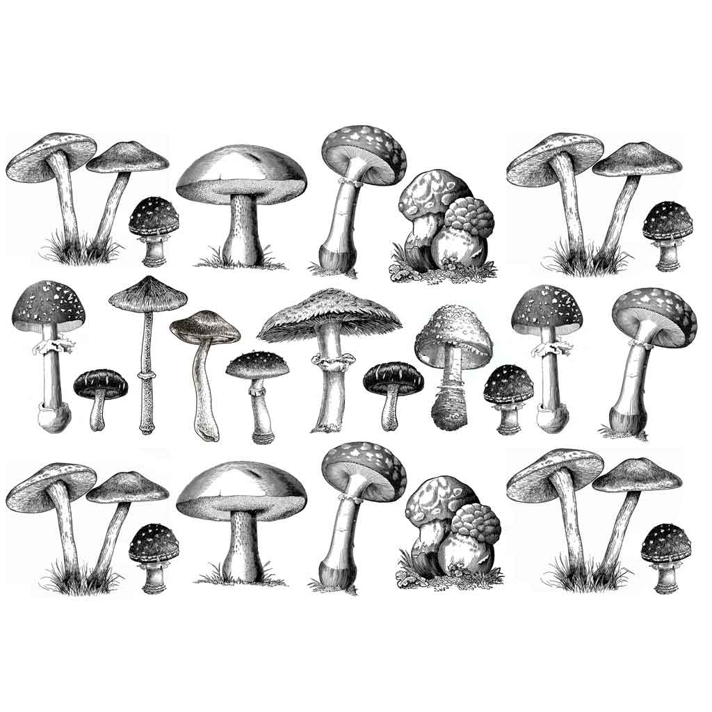 SanBao Underglaze Transfer - Mushroom (19" x 13")