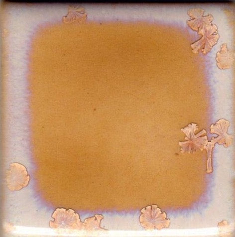 Coyote Rose Crystal Glaze (MBG165)