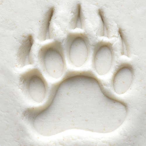 MKM Medium Round Bear Claw Stamp - 2.5 cm (SCM-151)