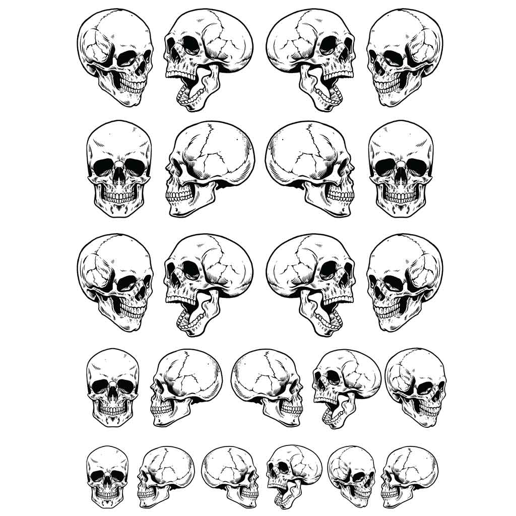 SanBao Underglaze Transfer - Skull (19" x 13")