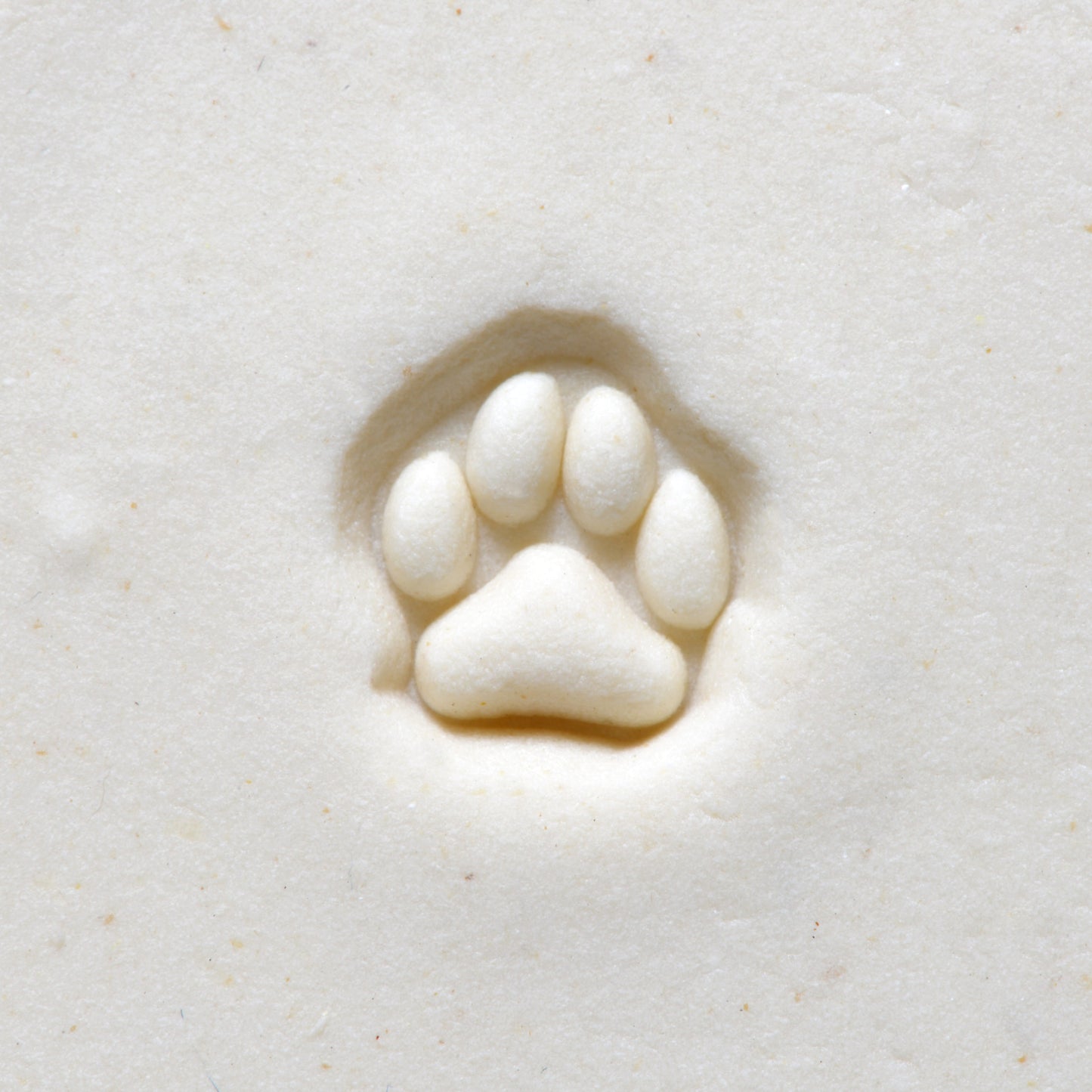 MKM Mini Round Dog Paw Stamp - 1 cm (SMR-044)