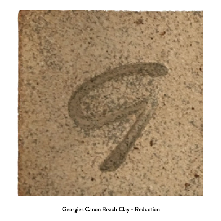 Georgies Cannon Beach Clay - 50 Lbs (CC505)