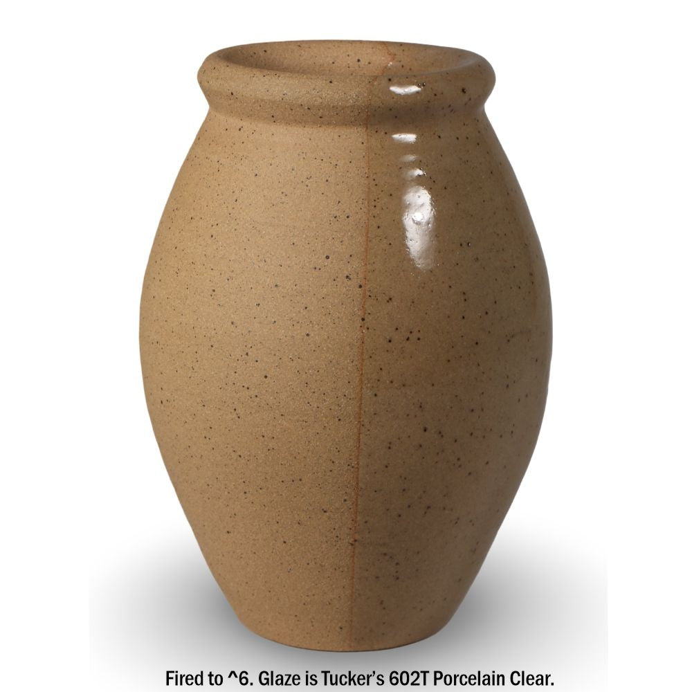 Tucker’s CCS Speckled - Cone 6 Stoneware - 20 kg (CCSS)