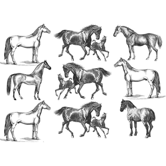 SanBao Underglaze Transfer - Horse (19" x 13")