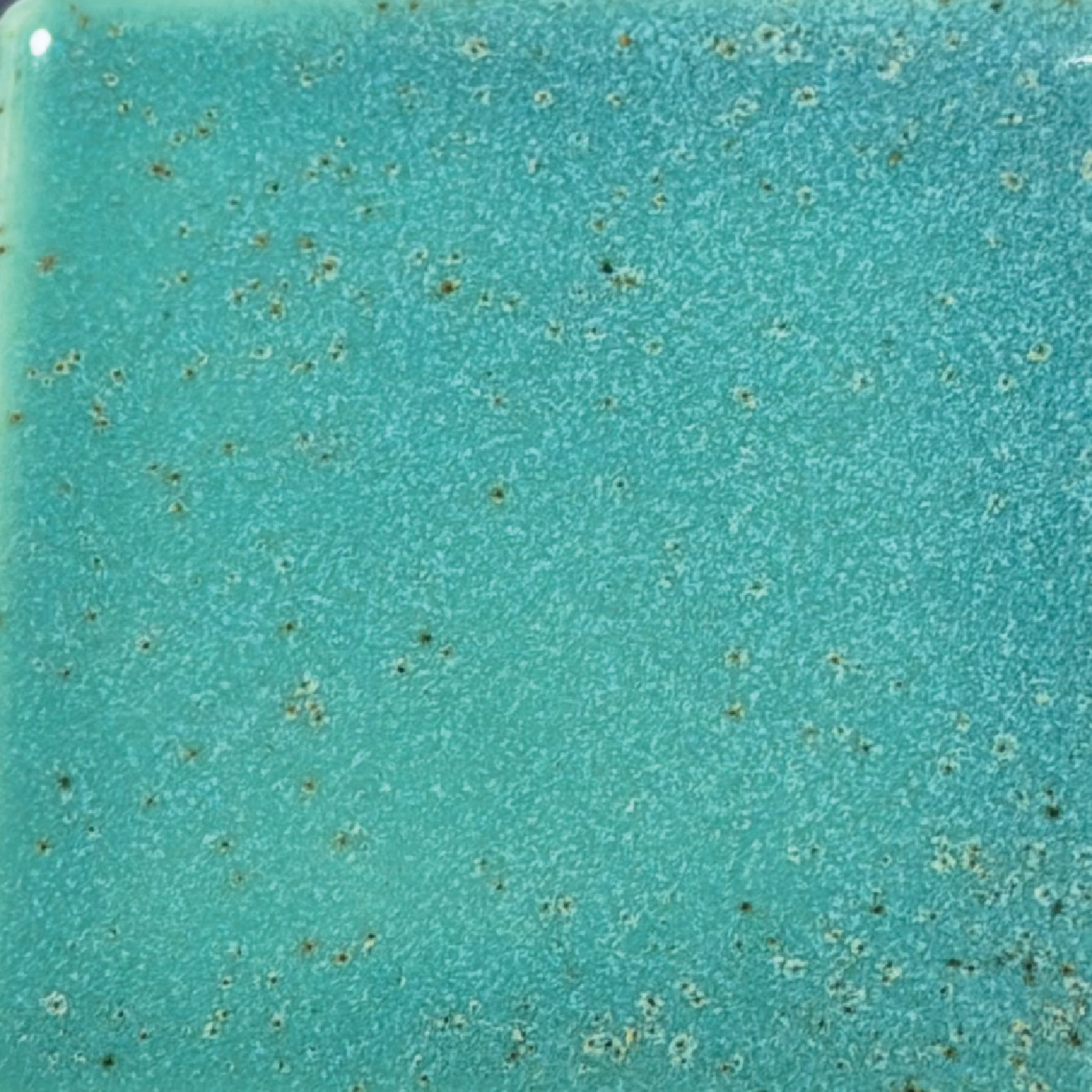 Coyote Mermaid Cove Glaze (MBG225)