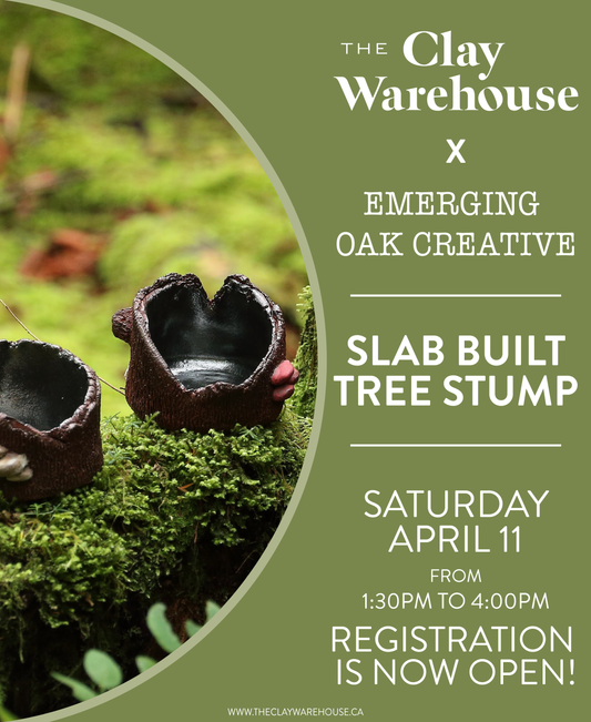 *SPECIAL WORKSHOP* Hand Built Tree Stump w/ Liz from Emerging Oak Creative