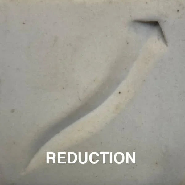 Tuckers 10-85 Translucent Porcelain - Cone 10 Porcelain - 20 kg (10-85TRANS)