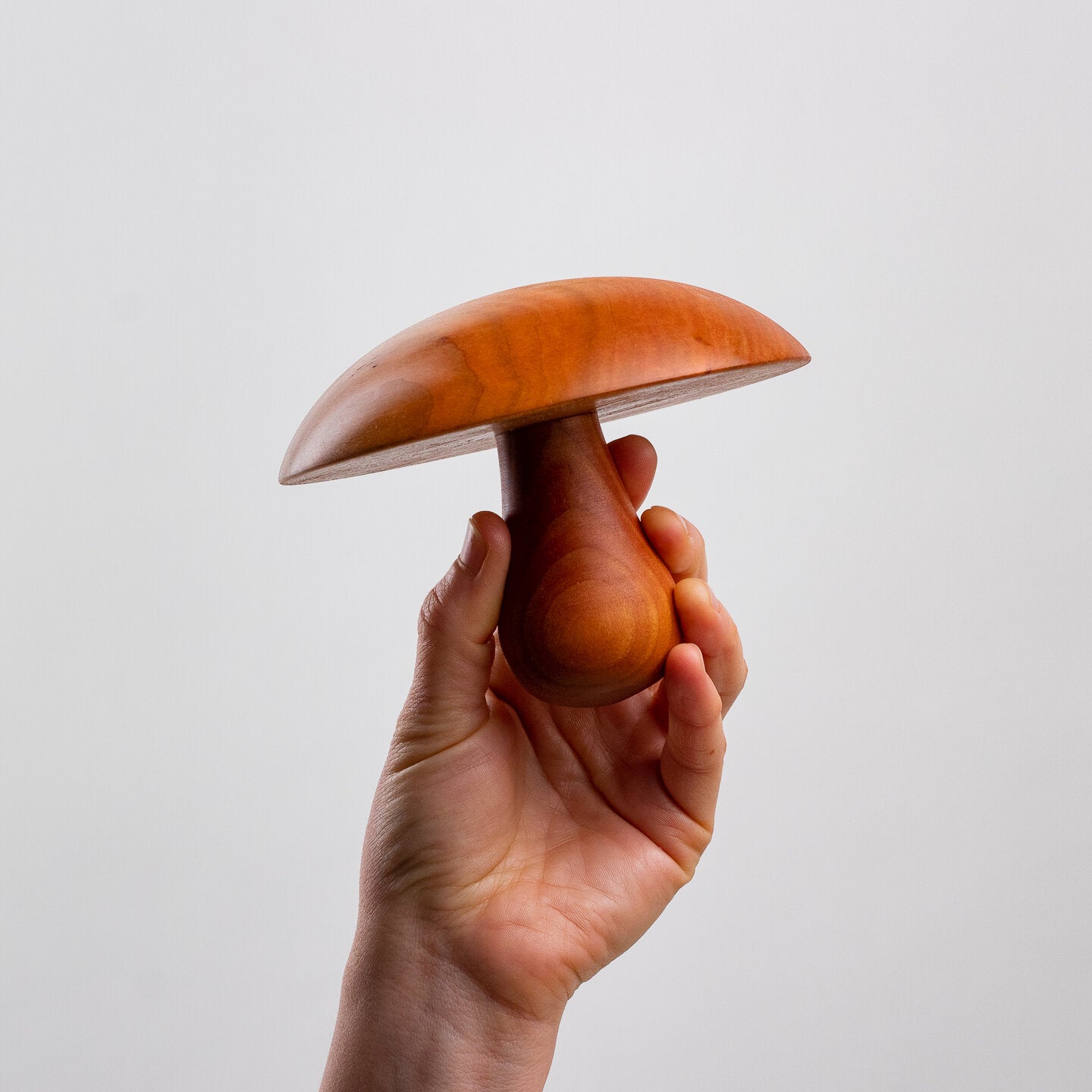 Mushroom Anvil Top 5" (GMAT5)